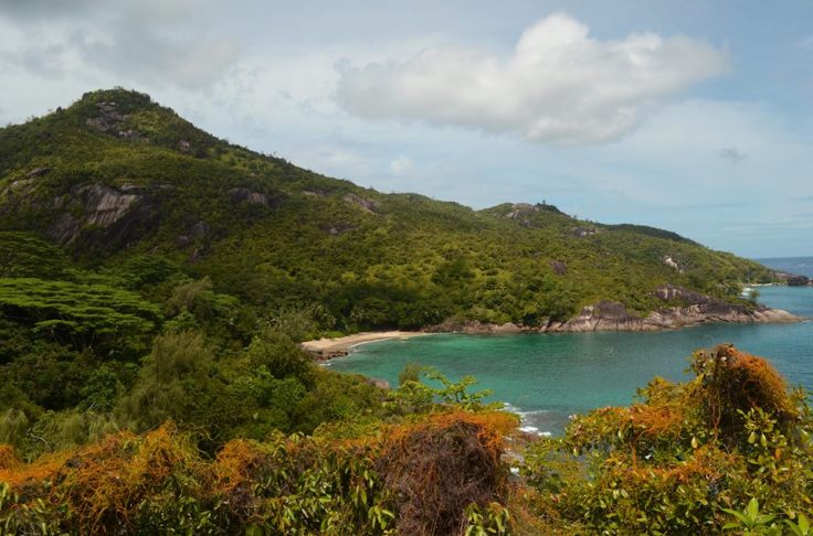 26168947_2024396927832445_7987805383441363205_n