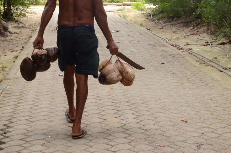 26239601_2024396771165794_4058703862718770741_n