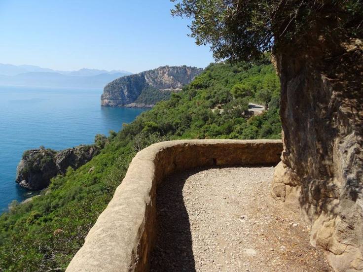 26731155_2031253227146815_817648019510379552_n