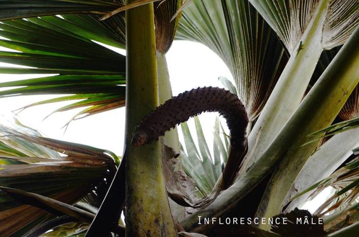 26734096_2027676180837853_6030988564351901267_n