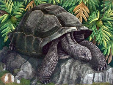 26906979_2029533027318835_9215727399599417943_n