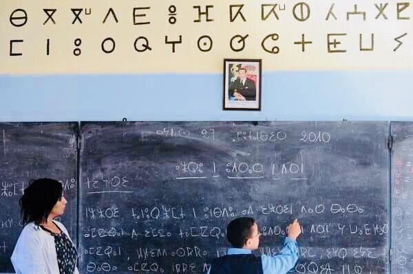 52516543_786377698393757_7833835664310272000_n