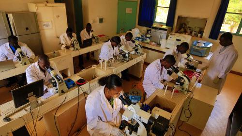 Ecole d'ingénieurs 2IE